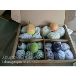 中國新鮮水果零售市場 價格、廠家及供應(yīng)商全解析