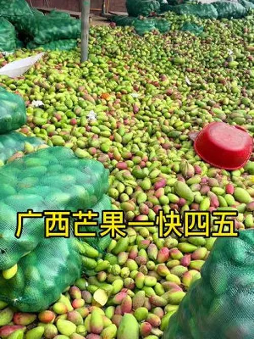 從枝頭到舌尖 百色金煌芒，新鮮應季的優質農產品