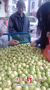 春暖果香價更親，應季鮮果正當時