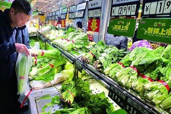 從田間到餐桌 菜農直連終端銷售新路徑